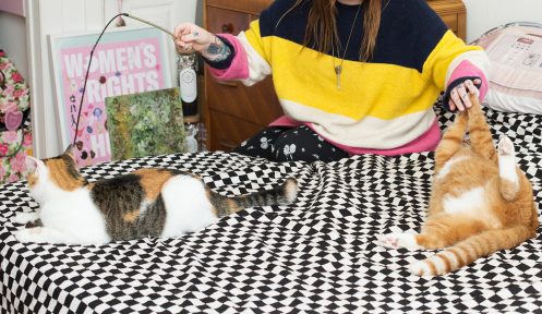 Break out the Cat Toys: Here are Some of the Fantastic Health Benefits of Playing with Your&nbsp;Cats!