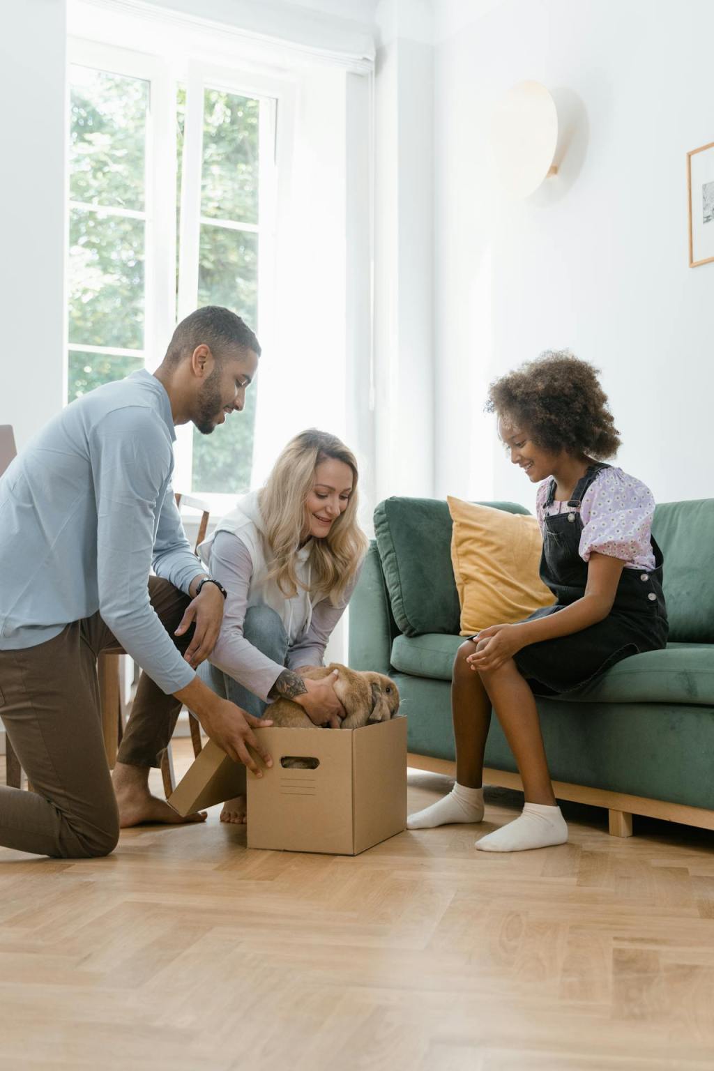 Why Cats Make Ideal&nbsp;Pets