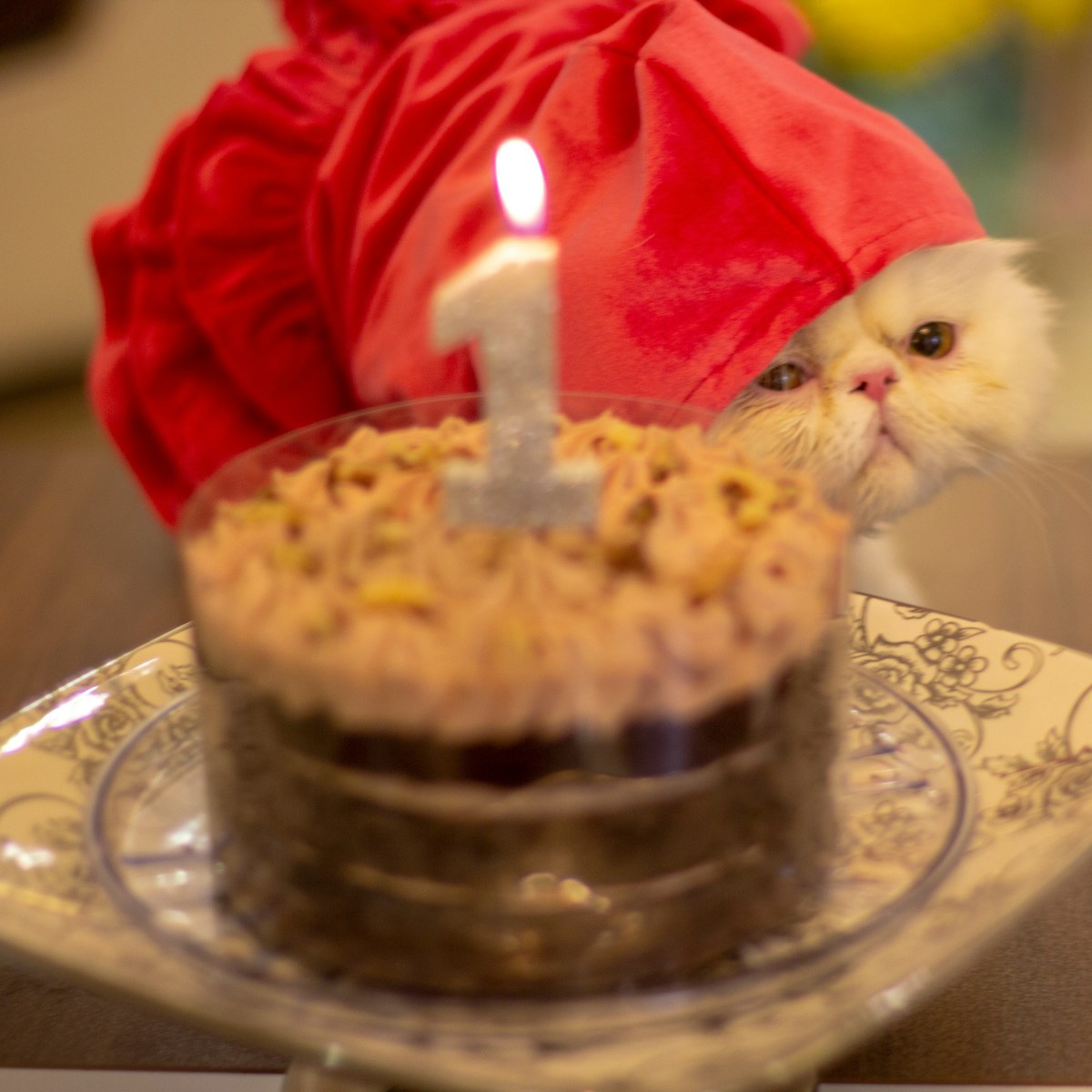 Purr-fectly Delicious: Creative Cat Birthday & Gotcha Day Cake&nbsp;Recipes