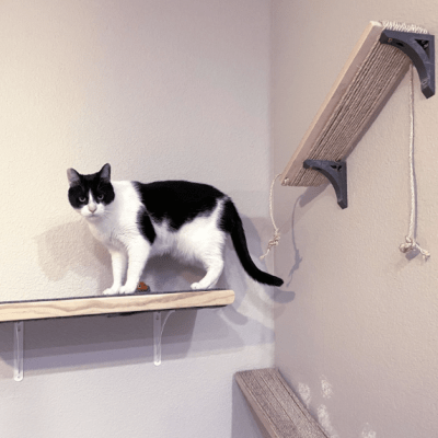 DIY Cat Perch: Spoil Your Feline Friend with a Cozy&nbsp;Retreat