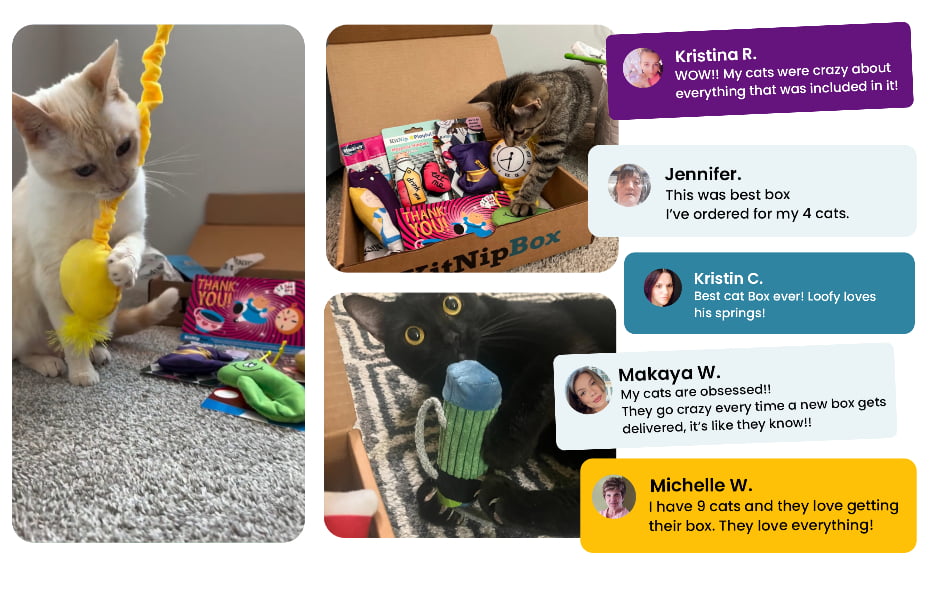 KitNipBox reviews and unboxing collage