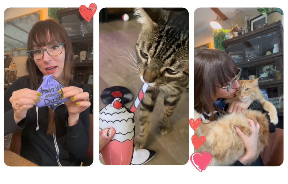 KitNipBox unboxing and lifestyle collage